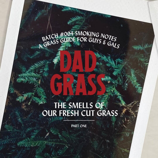 What Does Dad Grass Smell Like?