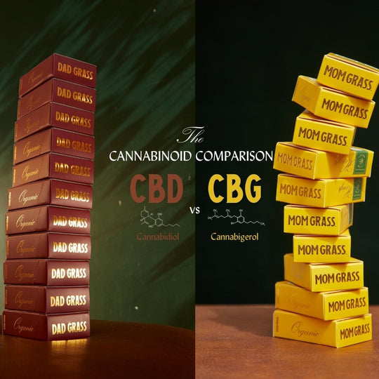 Cannabinoid Comparison: CBD vs. CBG