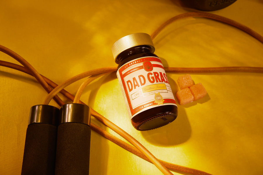 Dad Grass Goodtime Formula CBD + GBG Gummies - 12u Case